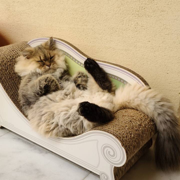 8e9a39b2 5a08 4ef9 a6e3 4dd58e7e650a 1604463960942