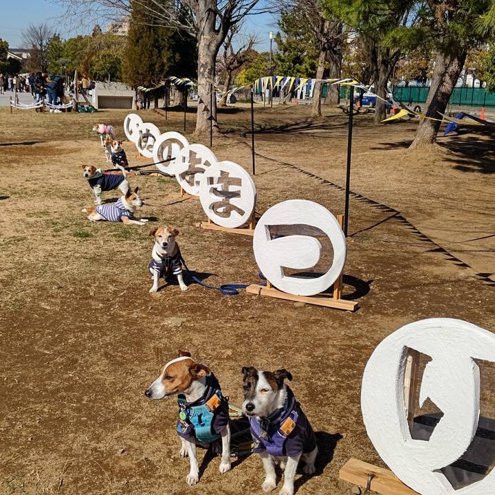 8e9a525e 5275 4750 8d16 b394f71803e6 1709452339526