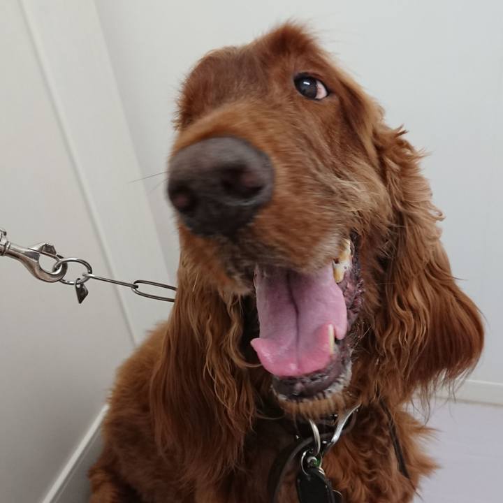 8e9a6b88 eb60 451e a239 b754c50be5b3 1528104916828