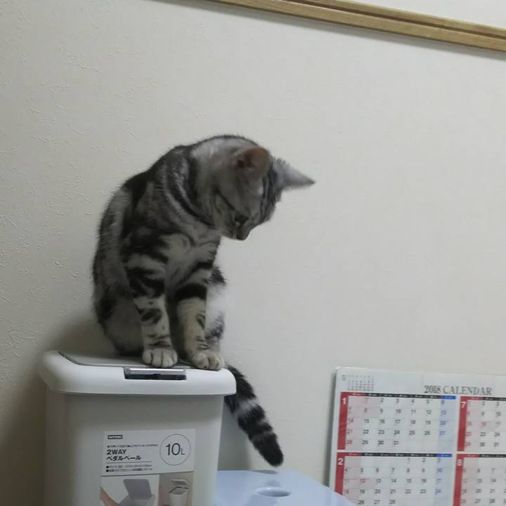 8e9a72a6 7e35 4c04 8764 5fb39dd2a315 1537535345815