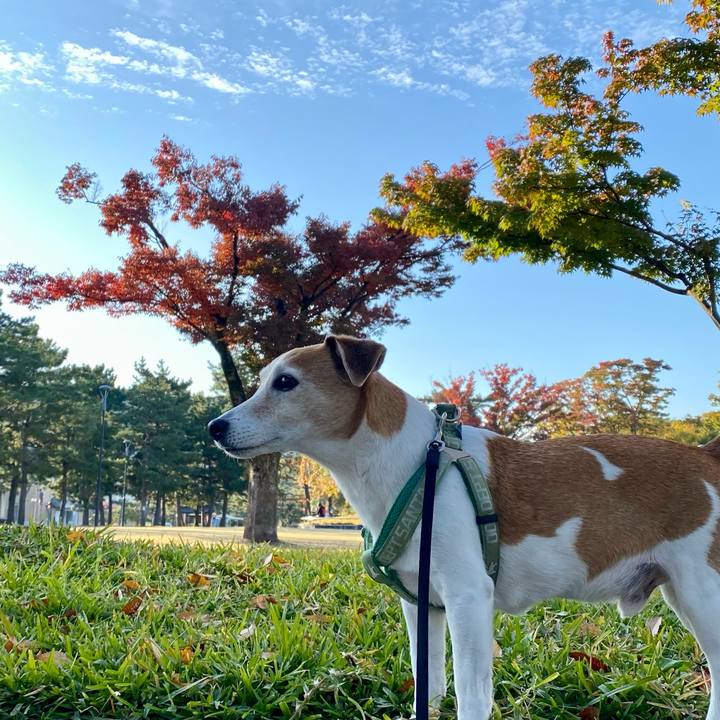 8e9aa467 925a 460a 92ea 8bd2ab0873b3 1604547474016