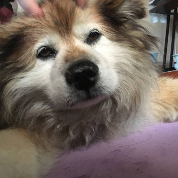 8e9ae735 38da 42b1 932c 3336dcdfecf8 1584414808231