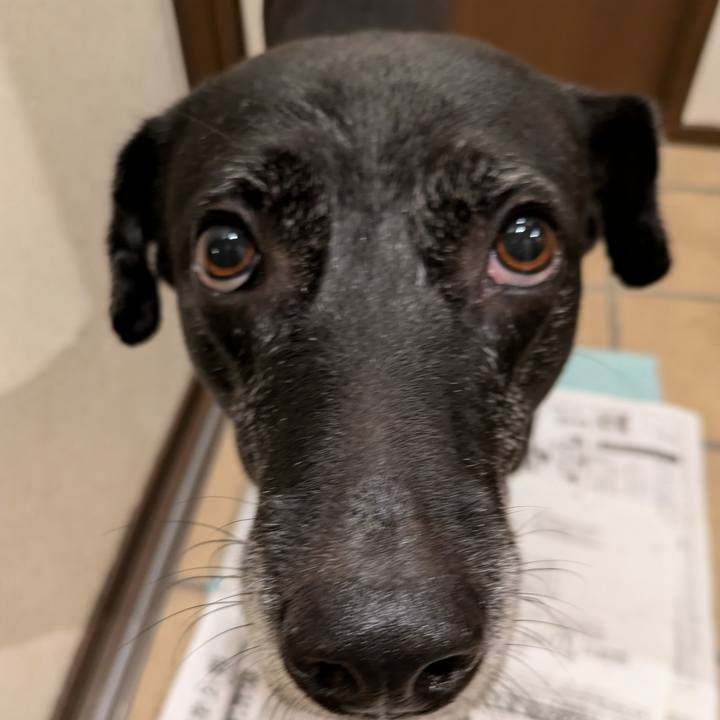 8e9af089 1d6b 45fc bd65 312f162b3b90 1730547759877