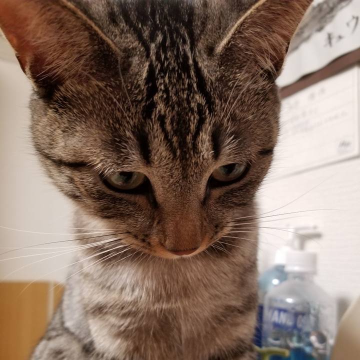 8e9b1868 5ecb 42fa b3a1 79101bd4defc 1682436858056