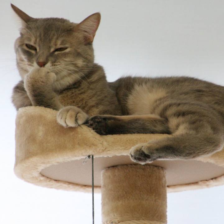 8e9b33b8 da14 40c5 8790 446111b15ab4 1508459445491