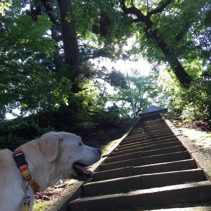 8e9b5a3f e964 4e60 b870 5bf8e2b9cb0c 1554556002019