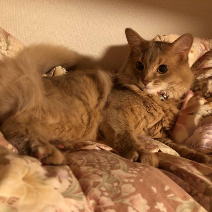 8e9b5c1f b8dd 479b 8dab 642786325a66 1594769613704