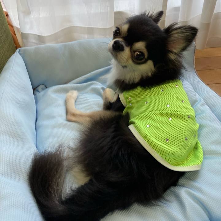 8e9b7baf 070d 45c9 b2ac 46cac3d504bb 1688310229967