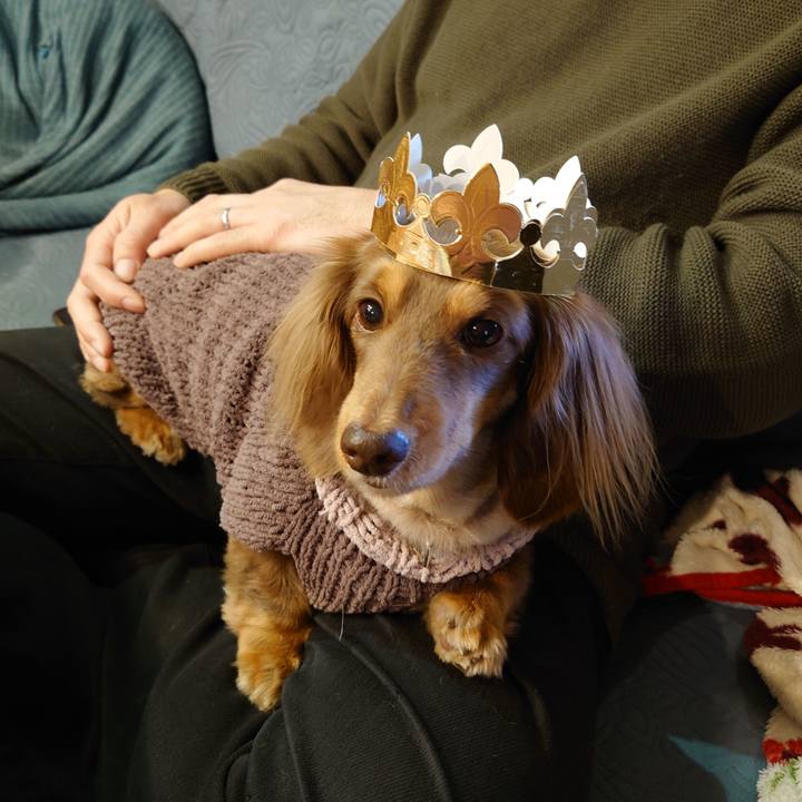 8e9b93b6 6576 441e b0ed d8371f13a13a 1705732308864