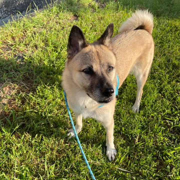 8e9bc1c8 1e45 4bb0 b9d8 bc1825545f1e 1727181355205