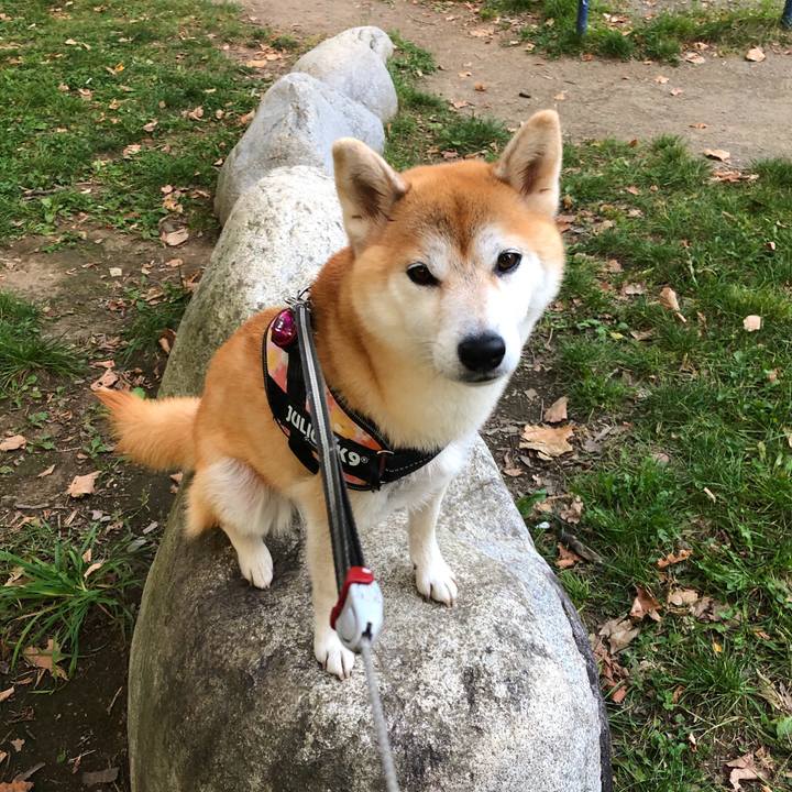 8e9bc9b8 0dff 40cc 8947 9463503ab0d3 1570078184512