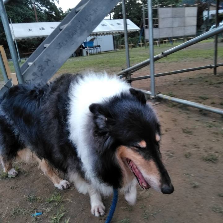 8e9bcd4a 51b0 4277 acf9 e83cac892d4a 1531830499588