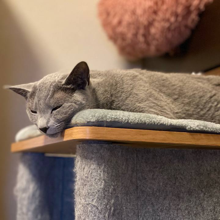 8e9c1b5a 2d7e 4de0 9a02 bafa21e66007 1715042795802