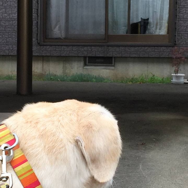 8e9c2f2d ac2f 4876 95b9 46d1cbf5d7e9 1529471285680