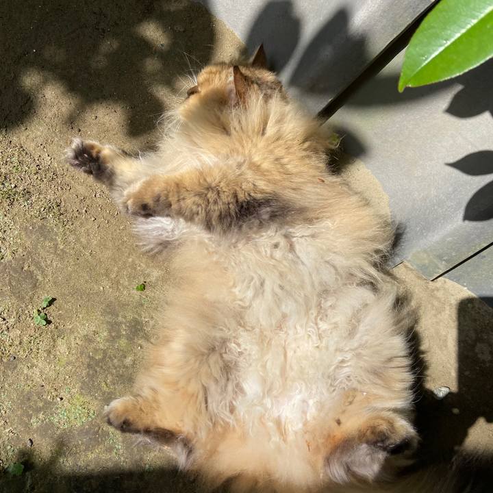 8e9c6209 be62 4e7c afa1 825069ccdfd9 1620618739054