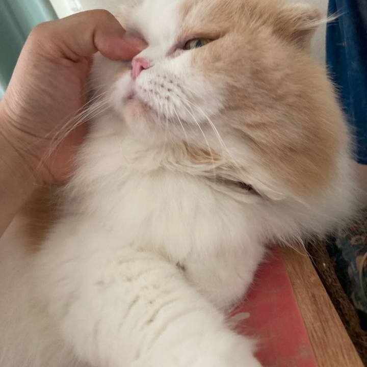 8e9cb038 07b4 43ea 9899 173597e17124 1661695753184