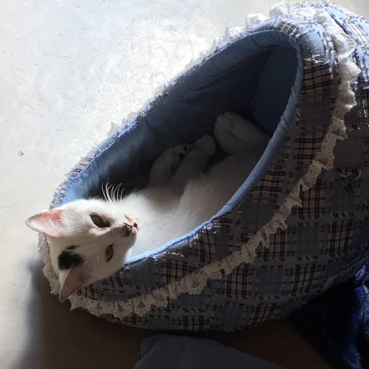 8e9cb3a6 58a5 4097 a0bf bd594eb66f52 1540981877944