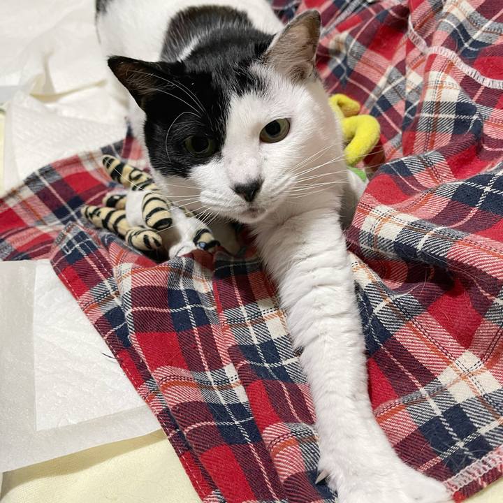 8e9cddba 0c74 4544 a3d7 97d0b4ee5b92 1770281526275