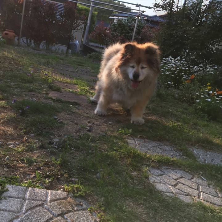 8e9cdeca 6517 49d9 b36f 9efc5fcc34c8 1557044611429