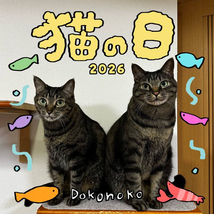 8e9ce4b4 4b75 4414 bec5 1326917e5c27 1771763857906