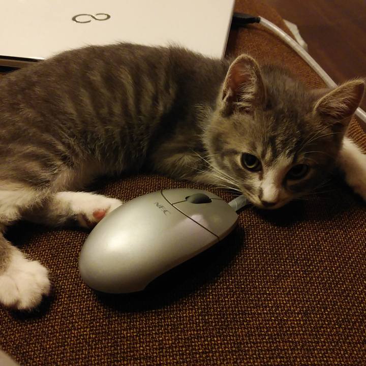 8e9d059c 8776 4607 b761 cc33e9d33fb0 1561735588299