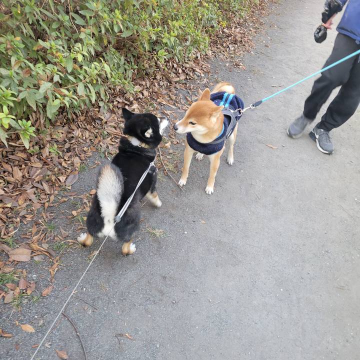 8e9d0e06 6fad 4a07 b78b 007e33ebb725 1770331413342