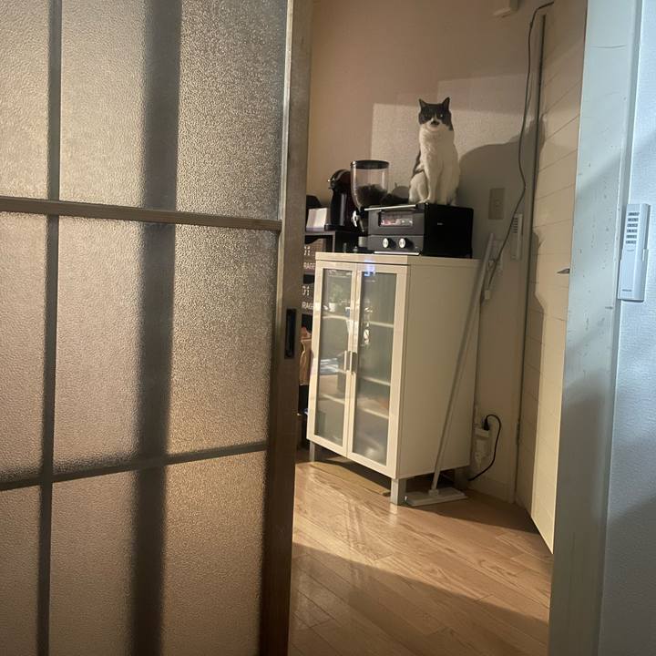 8e9d1933 445c 4038 84b3 1e4bd2a3f07d 1735832467044