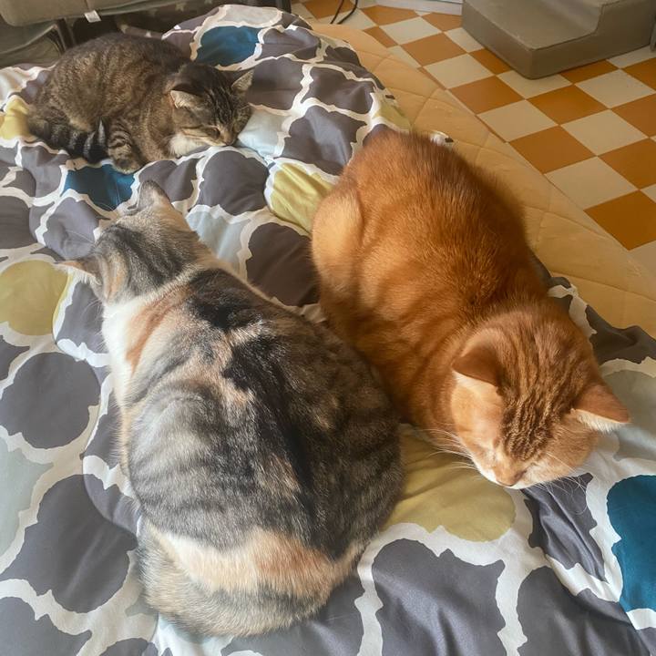 8e9d2eaa 4baa 403b a76e 9fe7c813f2ef 1766899687712