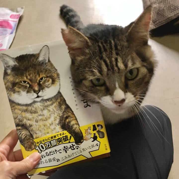 8e9d4ec5 6314 49ee b1a1 2c769219afe5 1537532396385