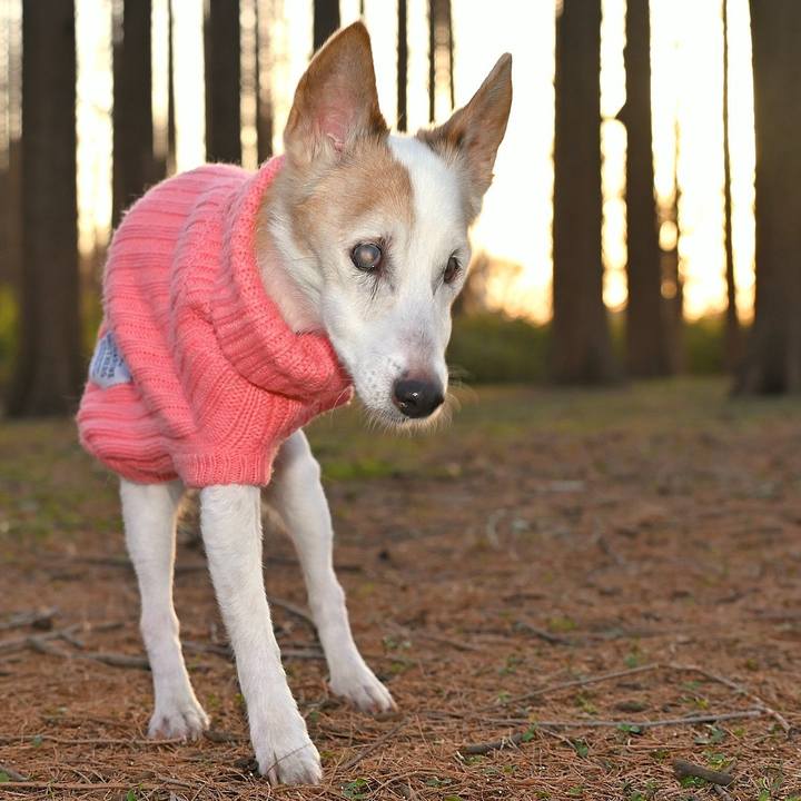 8e9d53f9 ccfc 4d9e 83a9 b64ec7e3ac61 1769613467348