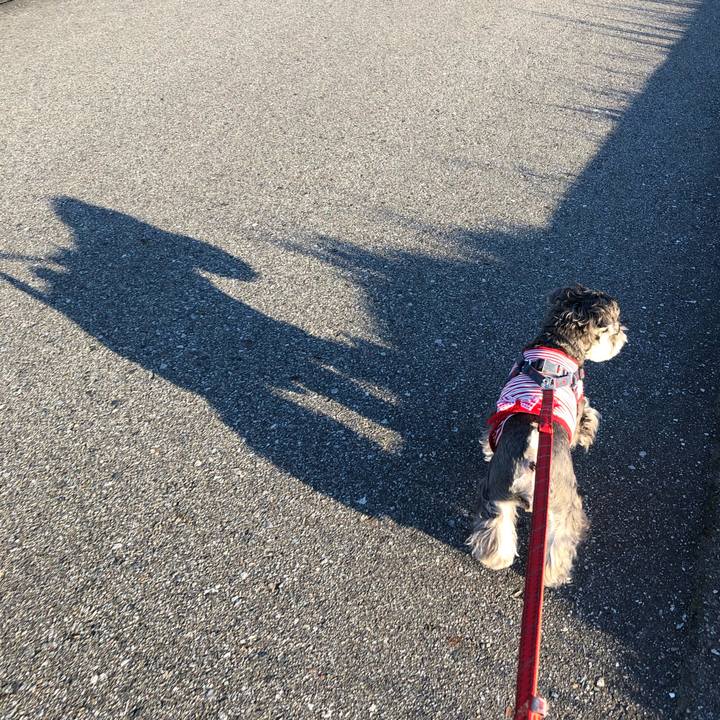 8e9d5896 8e3b 4c18 ae9f 0222710fc42b 1635559349264