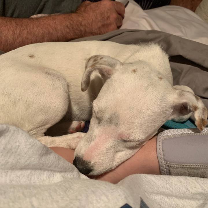 8e9dc92d c5c4 4e6c b615 59fa65d2cfc1 1539487047535