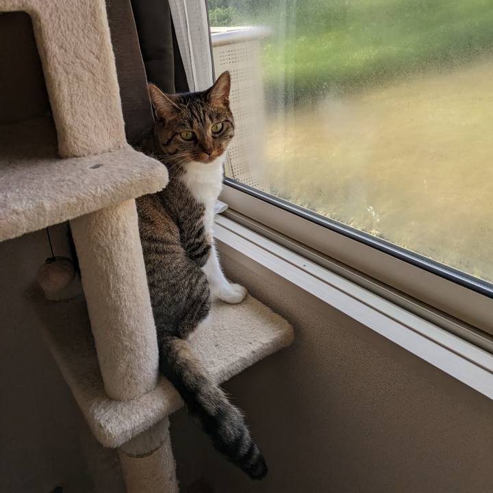 8e9de91a 1952 4b5a 9881 92d85a4bed7f 1692657521097