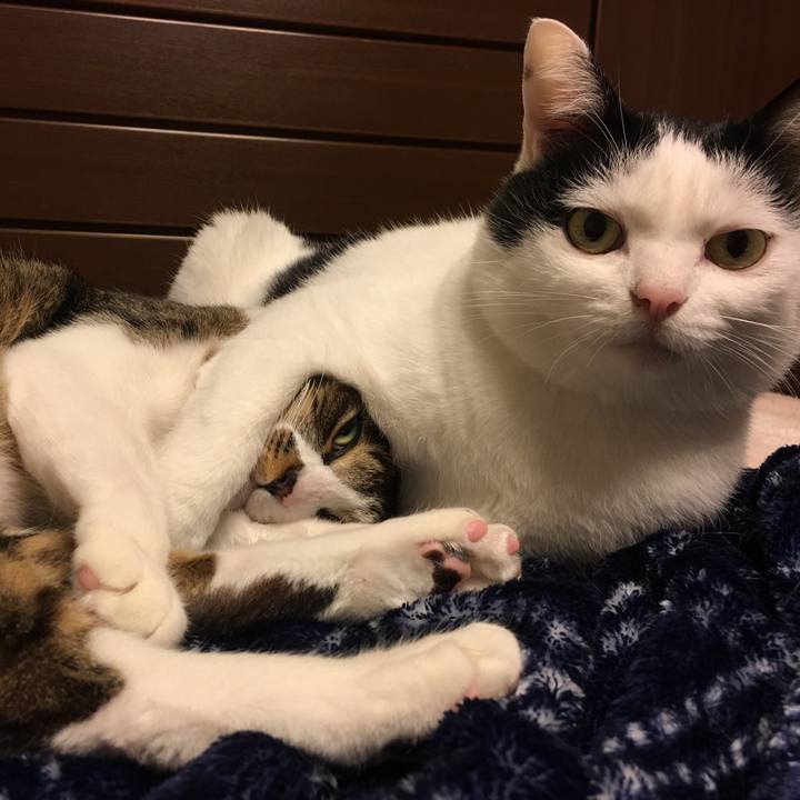 8e9e0379 3ef1 49ff a680 fe37ea995c49 1548595190600