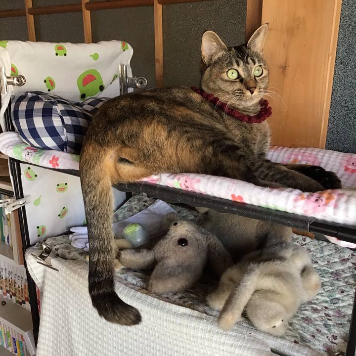 8e9e0576 26fd 4536 a02c 0e4797a26cdb 1614241437732