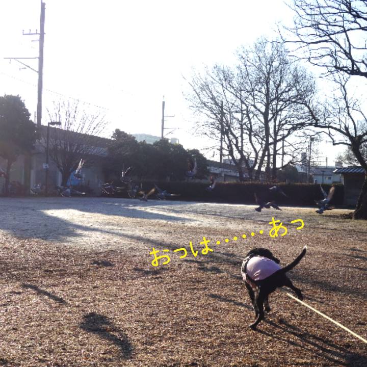 8e9e36a4 6d0c 46af bbab 5e50edc3a29c 1644972611479