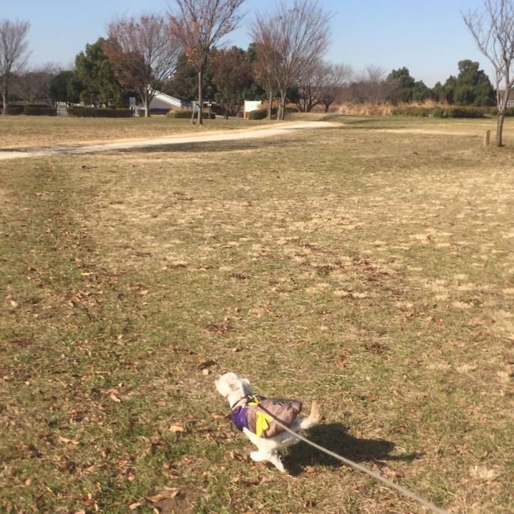 8e9e401d 9785 4334 a1c2 9f80d6f5fc99 1513577466384