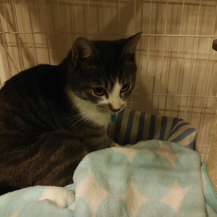 8e9e58df e91b 403f 8237 b84d1df24b65 1574521103990