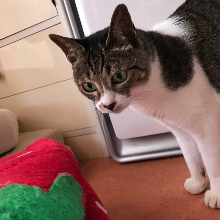 8e9e62f8 857c 41bc 8bba c2c11a553497 1530411420114