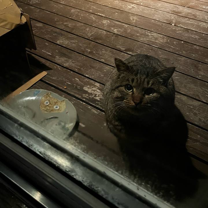 8e9ec409 9471 4f7e 8d7e bdeebb48db51 1733607266060