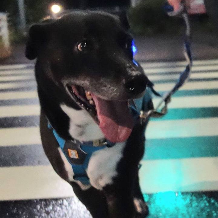 8e9ed53a 805d 4148 9f85 88a97a7f514b 1691580205364