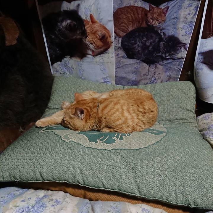 8e9ee7ad 4f31 43b3 8f05 fe9c4c4ac43b 1657110746832