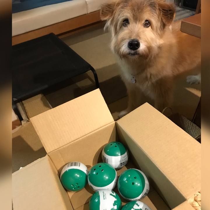 8e9eea15 d1b5 4955 9eba 4bee98c393d5 1632799501471