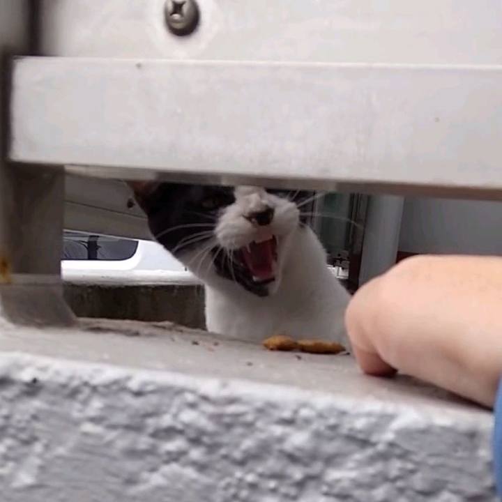 8e9ef902 6baf 4b47 b388 3e3e5b8be0bc 1629534085287