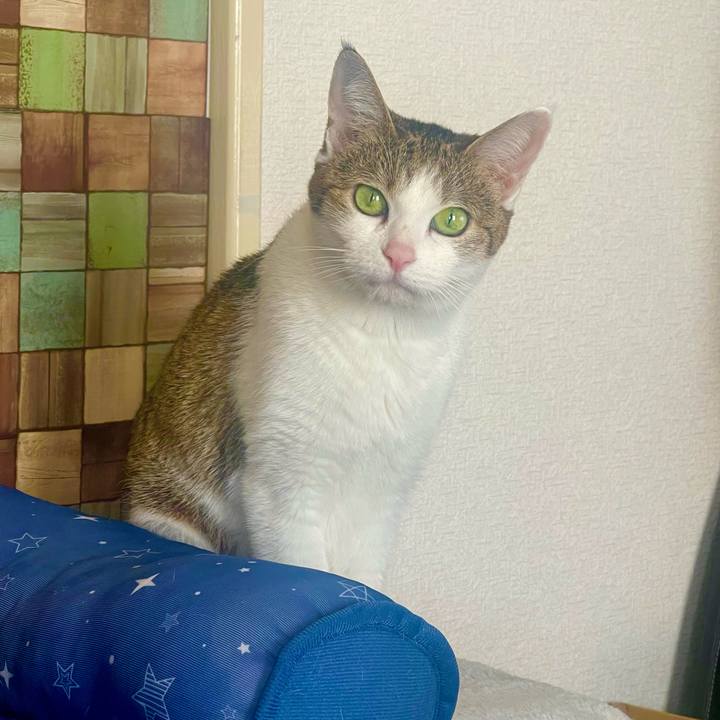 8e9f04cd 241c 4a48 9e0a 580475da8b32 1690326149435