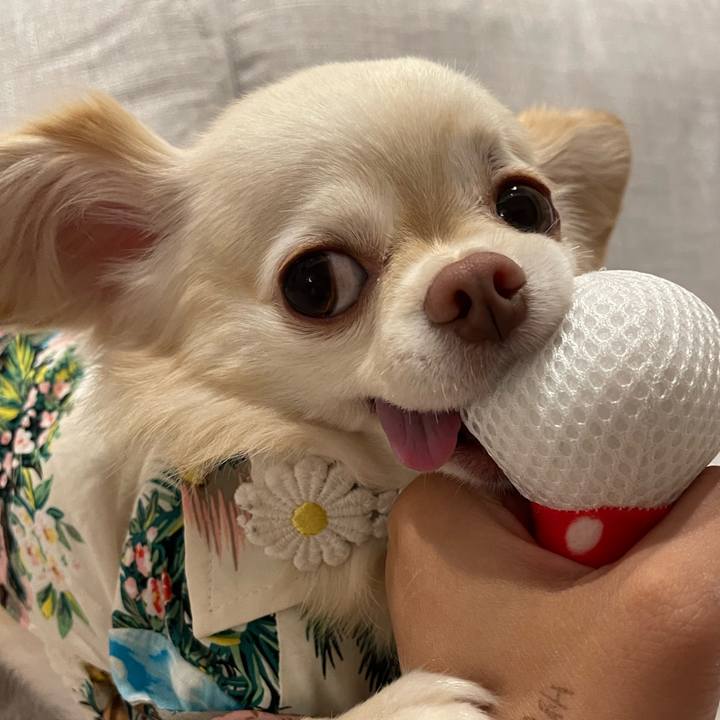 8e9f0c6d 3f81 4532 bcde f7d2046ae9e9 1690169116154