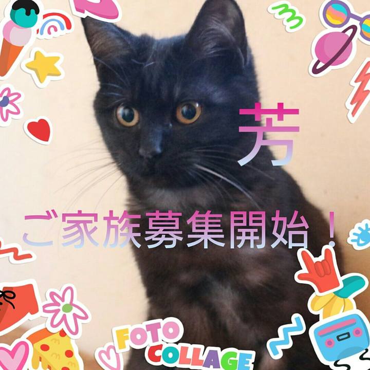 8e9f1908 ea6a 40c1 ad12 dad3d2995e41 1616117947840