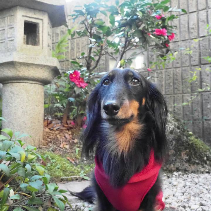 8e9f5d80 d4d0 47f3 9210 ae5baa9d01c2 1544767931180