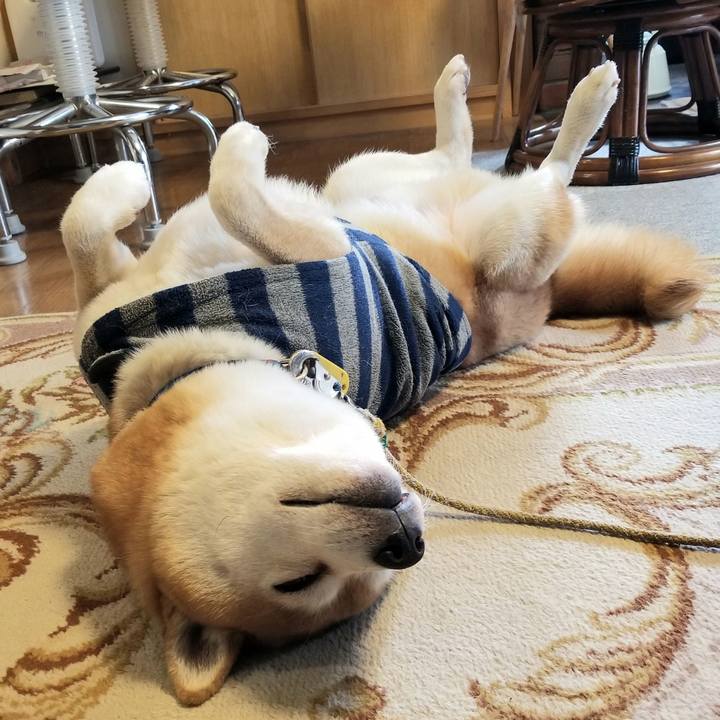 8e9f908a 82ec 4839 9501 94135b28157d 1575592478876