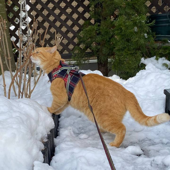 8e9fdca6 7bdc 4204 bb81 556c88f78716 1641512573765